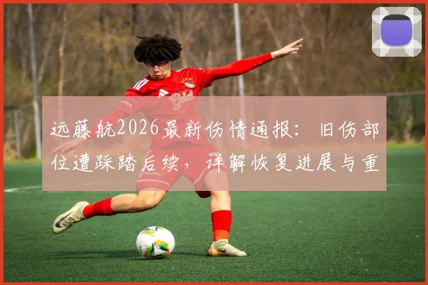 远藤航2026最新伤情通报：旧伤部位遭踩踏后续，详解恢复进展与重返赛场展望