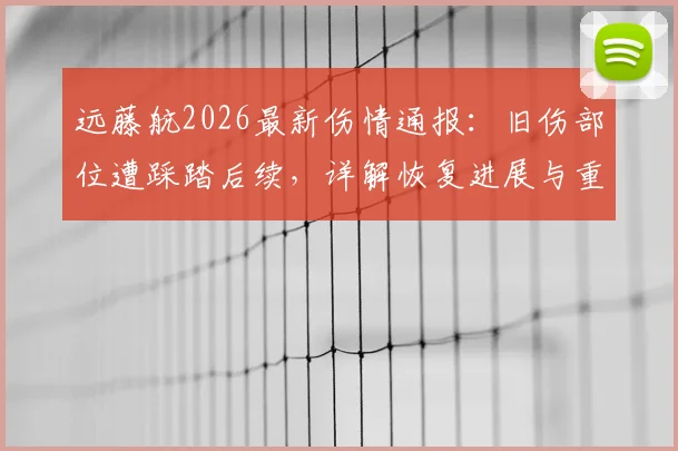 远藤航2026最新伤情通报:旧伤部位遭踩踏后续,详解恢复进展与重返赛场展望